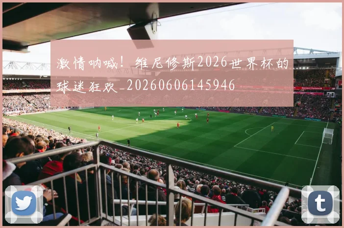 激情呐喊！维尼修斯2026世界杯的球迷狂欢_20260606145946
