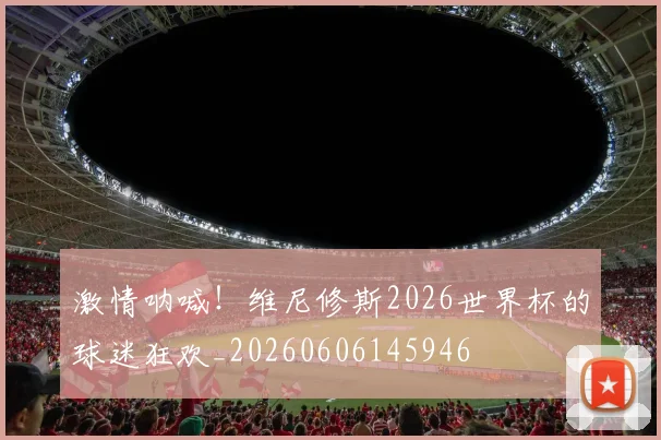 激情呐喊!维尼修斯2026世界杯的球迷狂欢_20260606145946