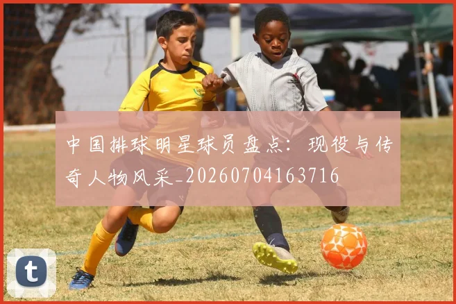 中国排球明星球员盘点：现役与传奇人物风采_20260704163716